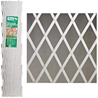 PAPILLON 8091530 Celosia PVC Blanca Extensible 2x1 Metros- 2x1m